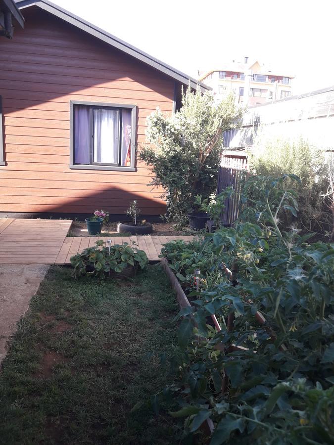 Cabanas Mister Nelson Valdivia Zewnętrze zdjęcie